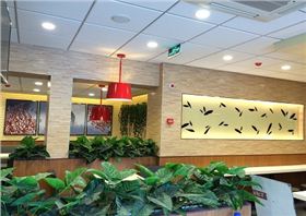 连锁店装修材料