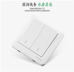 施耐德 畅意系列 双联 双开双联 两开单控开关 二位单控