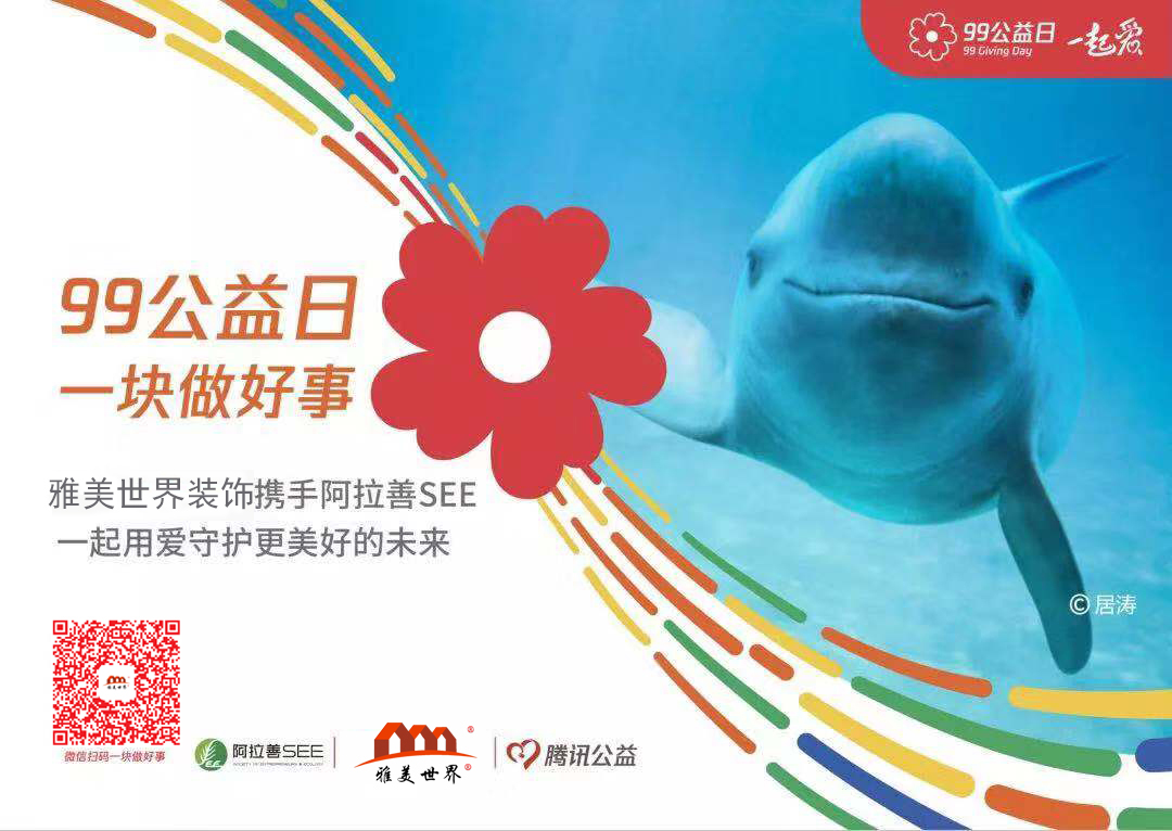 99公益日|盛德神舟邀您一起做公益！